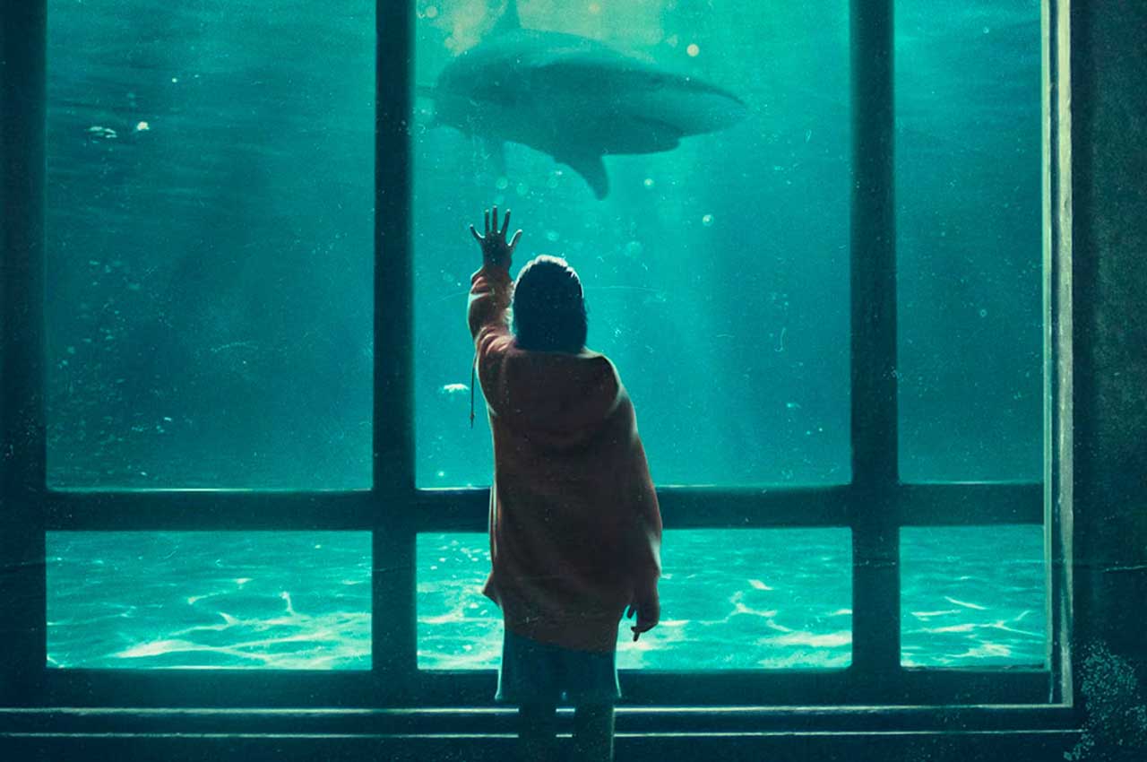 Teatini Cinema/ Shark Teet