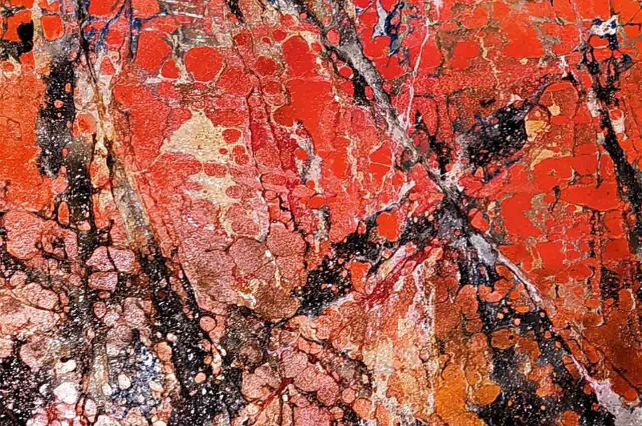 Festival delle catastrofi e di altri passaggi generativi