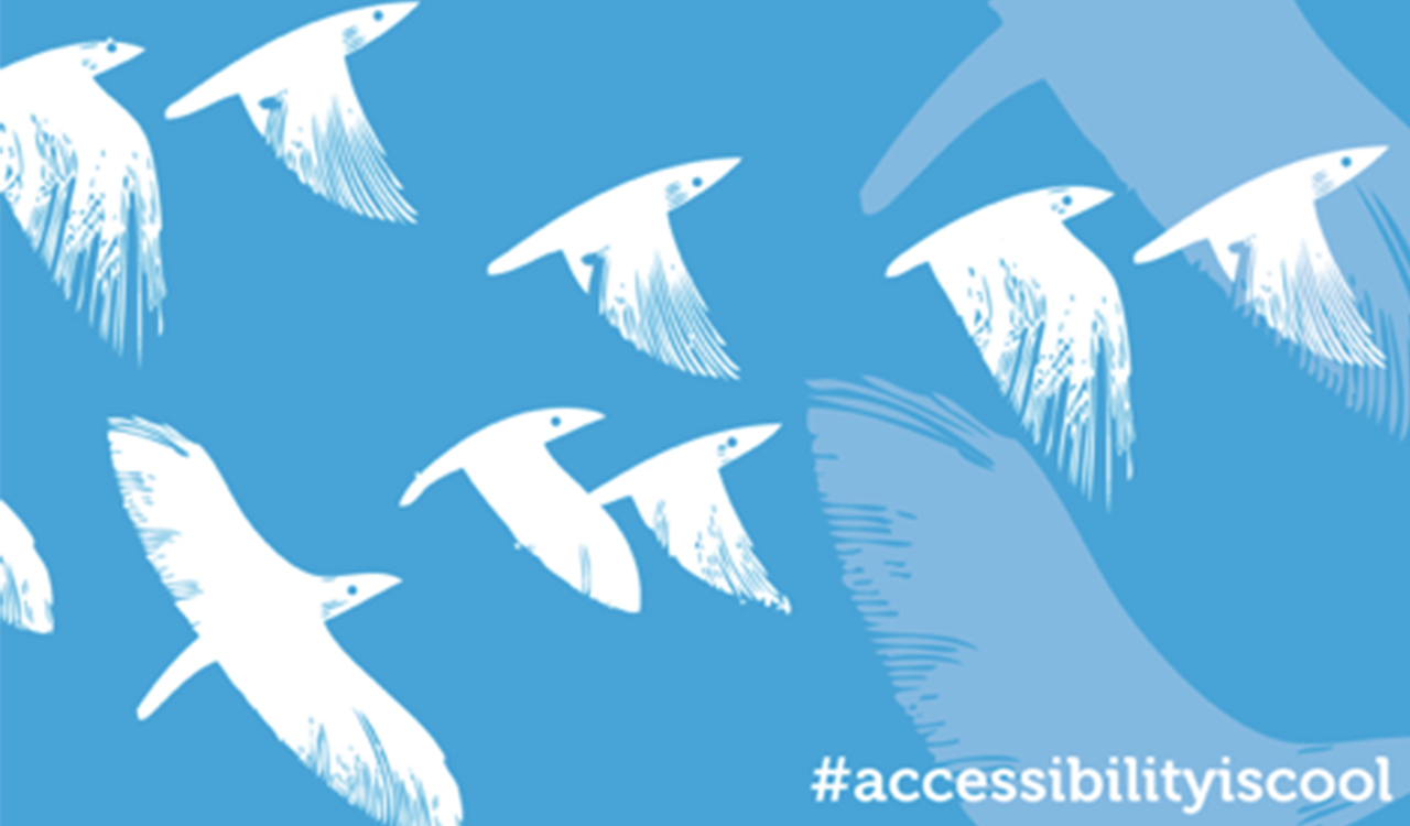 ACCESSIBILITY IS COOL FESTIVAL/Aperta