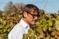 TURISMO DEL VINO IN ITALIA/Dario Stefàno