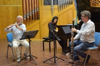 Sonar Trio