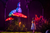 Alice in Wonderland