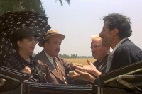 Teatini Cinema/ Amarcord