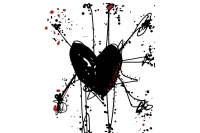 Gradi di separazione/ Teresa Musca