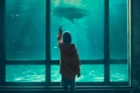 Teatini Cinema/ Shark Teet