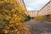 FAI SPRING DAYS/Tobacco concentration warehouse