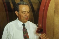 Negroamaro. Una viticoltura di eccellenza tra due mari
