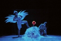 Theatre in the Pocket/ Plastic Gardens