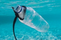 LIFE BEYOND PLASTIC