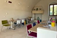 Finalmente Tagliatelle/ Visite guidate