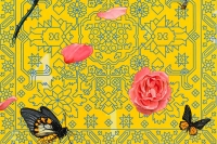 Anna Fermi/ Maria Maddalena, il cammino della rosa