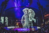 Circus Atmosphere