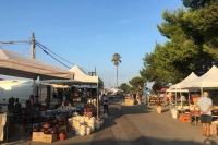 Sant’Oronzo 2023/ Fiera del bestiame